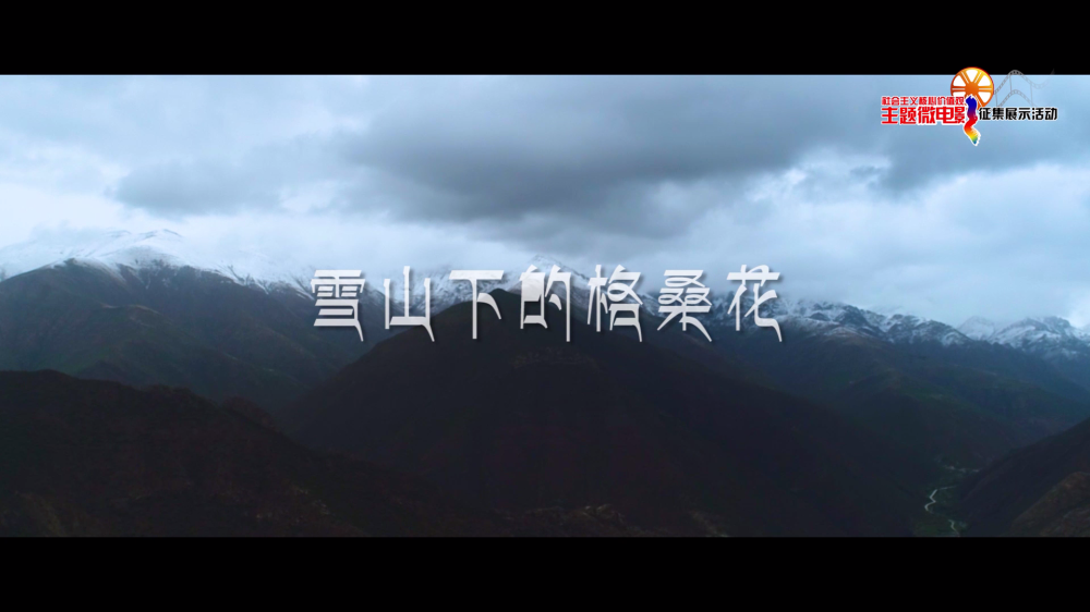 雪山下的格桑花[00_00_06][20210127-200140].png