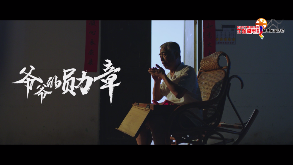 爷爷的勋章[00_00_23][20210127-200511].png